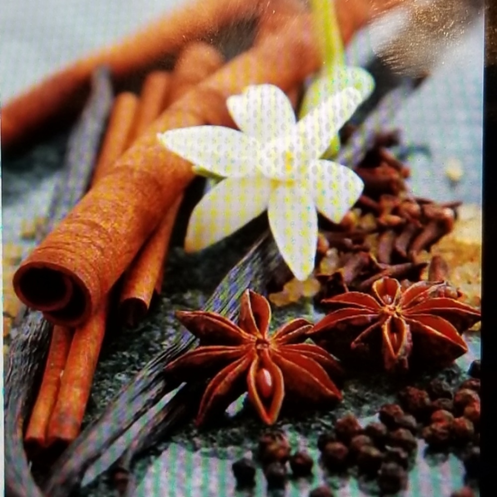 Cinnamon/Honey Lip Balm  -  moisturizer - Picture 4 of 4